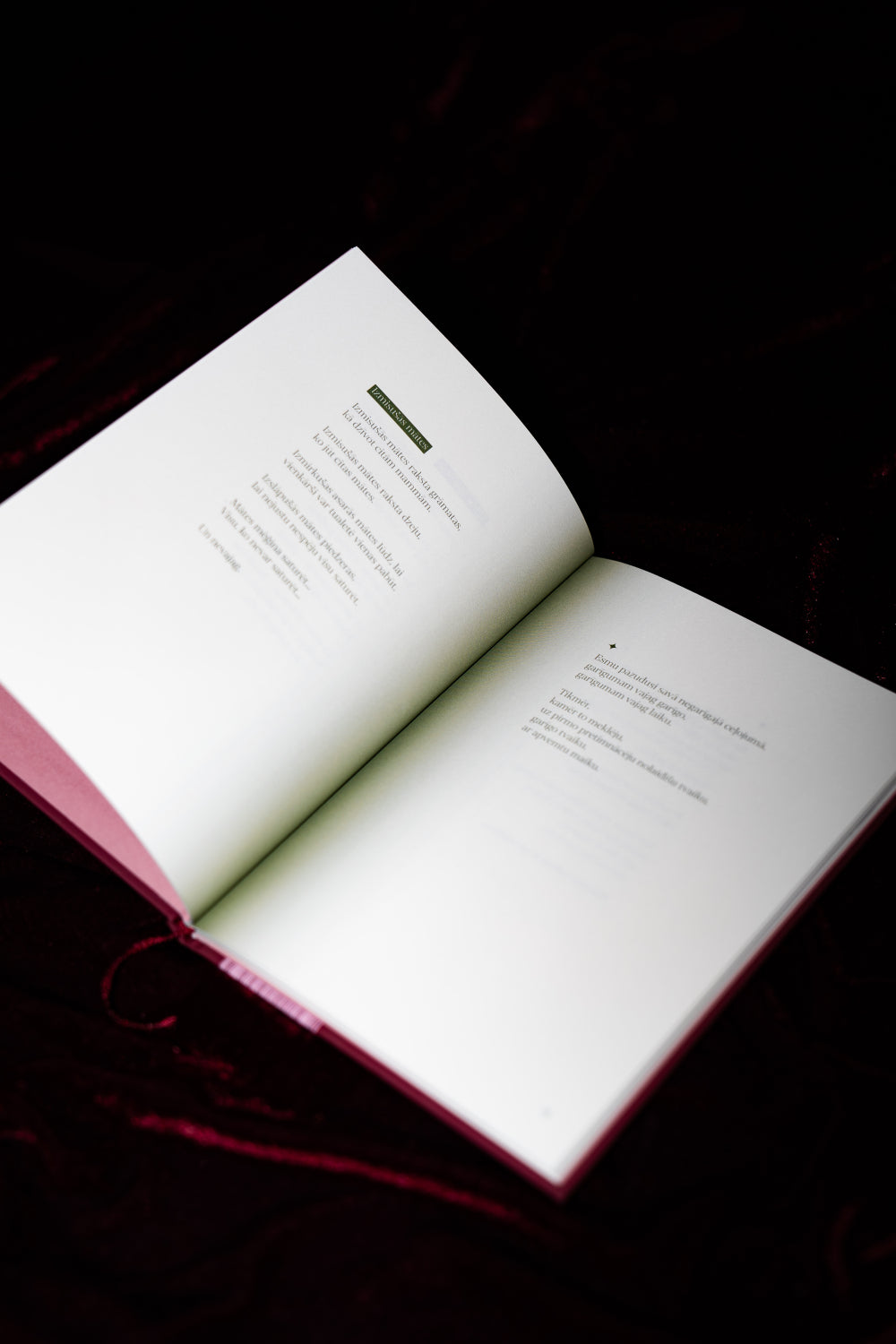 Dzejas krājums  "ŠIS NAV MANS ŽANRS"